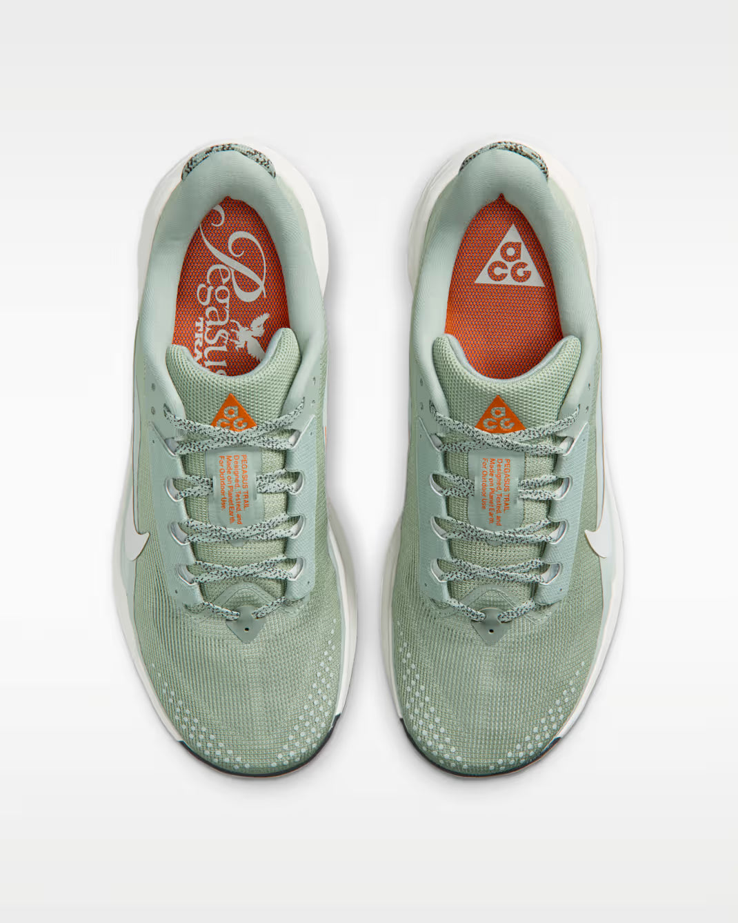 NIKE - ACG Pegasus Trail